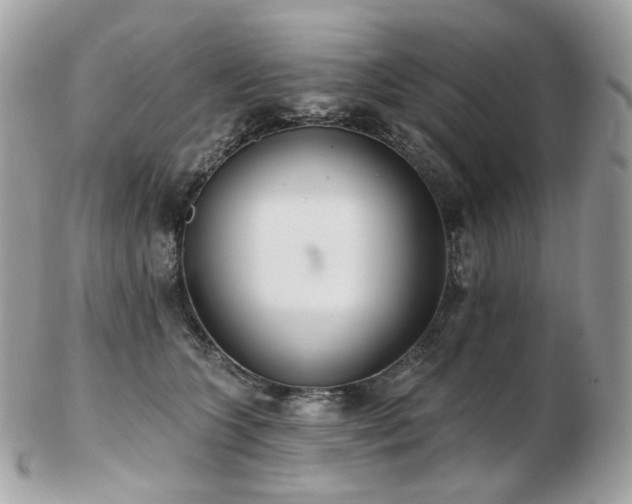 X0000103280563200808291314