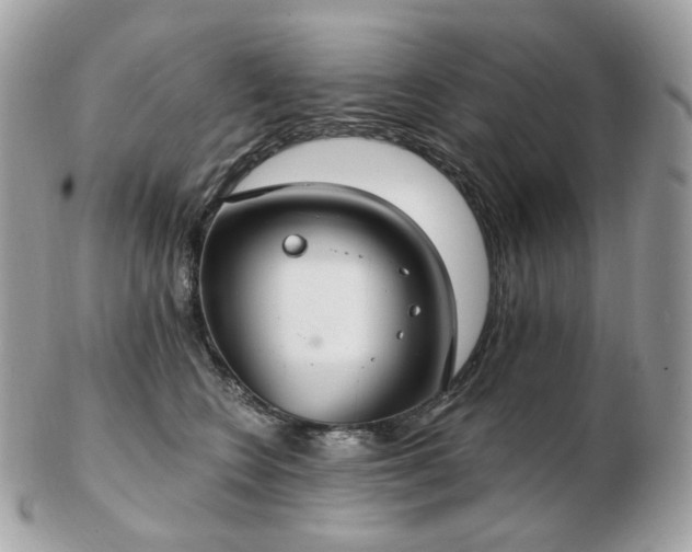 X0000103280566200808291314