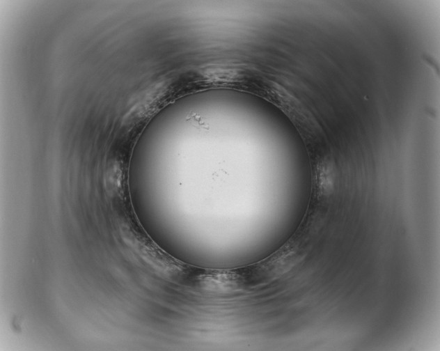 X0000103280567200808291314