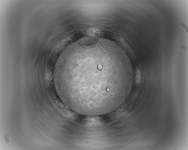 X0000103280569200808291314