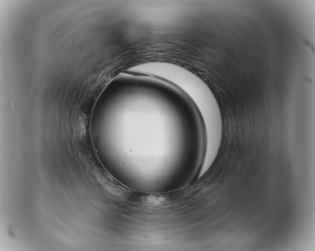 X0000103280570200808291314