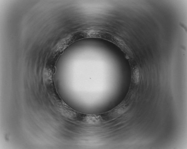 X0000103280571200808291314