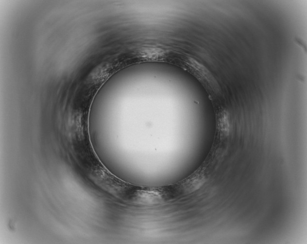 X0000103280572200808291314