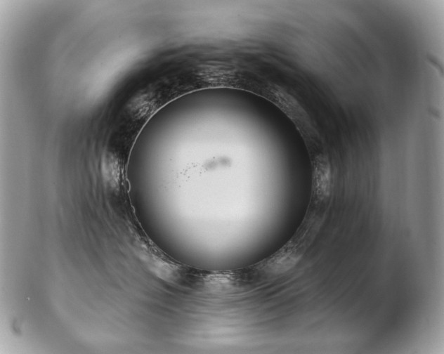 X0000103280574200808291314