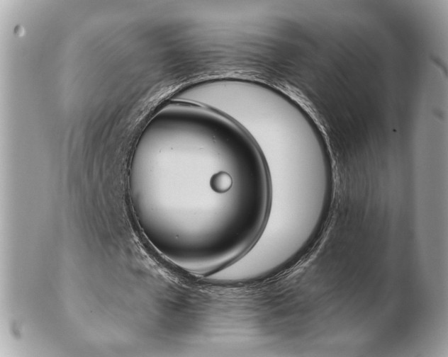 X0000103280577200808291313