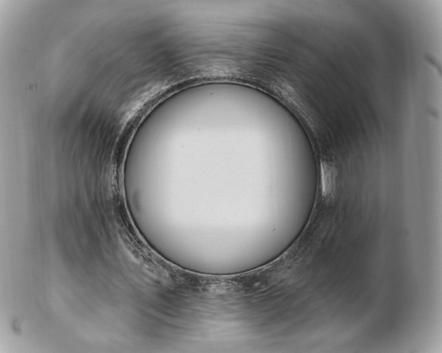 X0000103280579200808291313