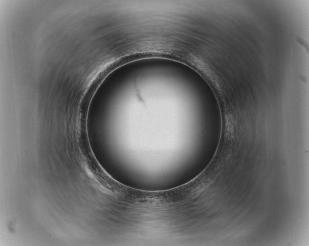 X0000103280580200808291313