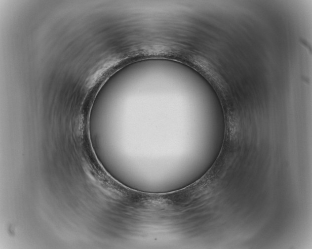 X0000103280583200808291313