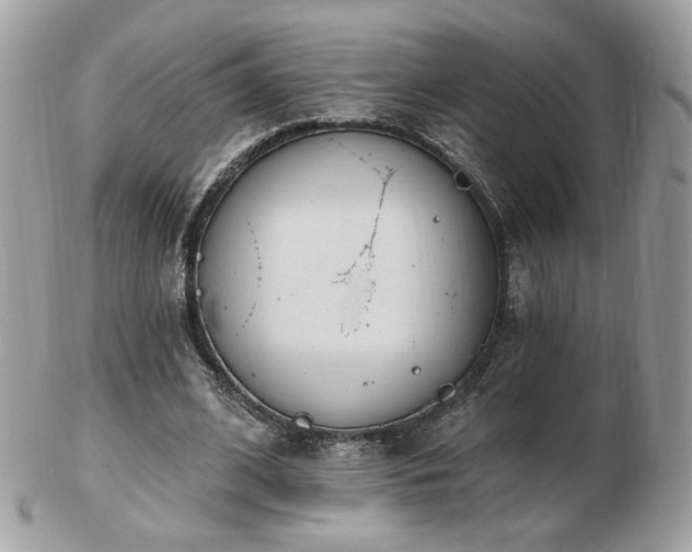 X0000103280584200808291313