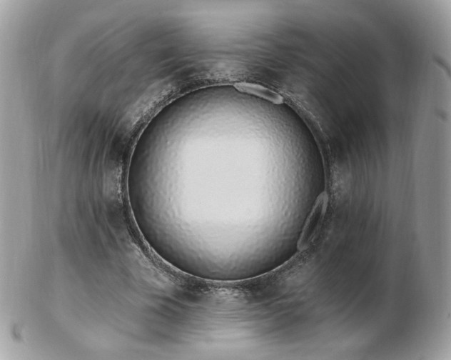 X0000103280585200808291313