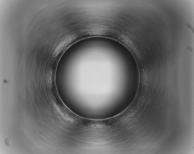 X0000103280586200808291313