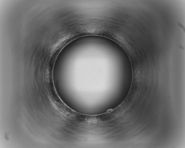 X0000103280587200808291313