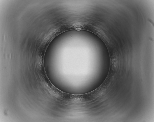 X0000103280593200808291313