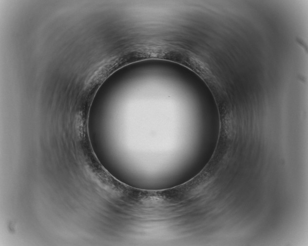 X0000103280594200808291313