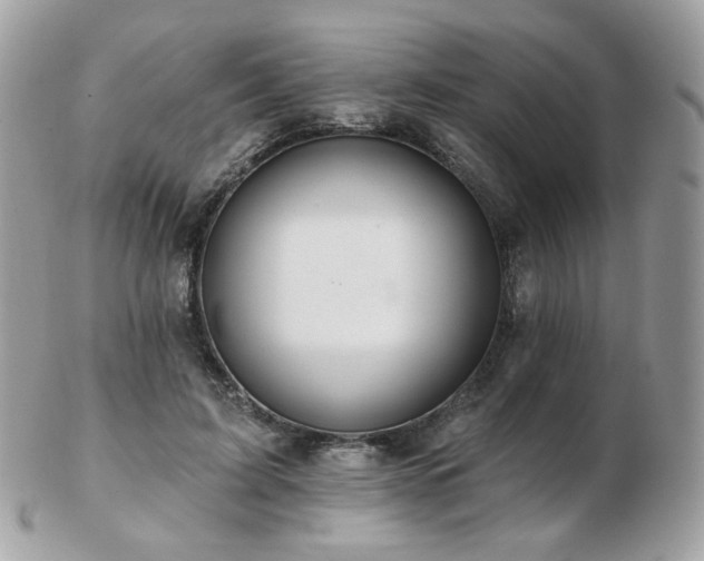 X0000103280595200808291313