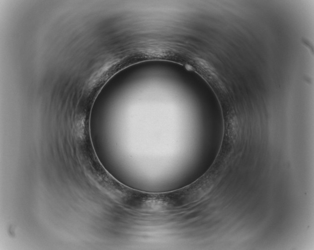 X0000103280596200808291313