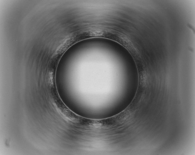 X0000103280598200808291313