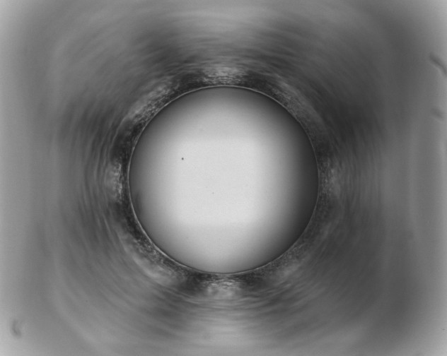 X0000103280599200808291313