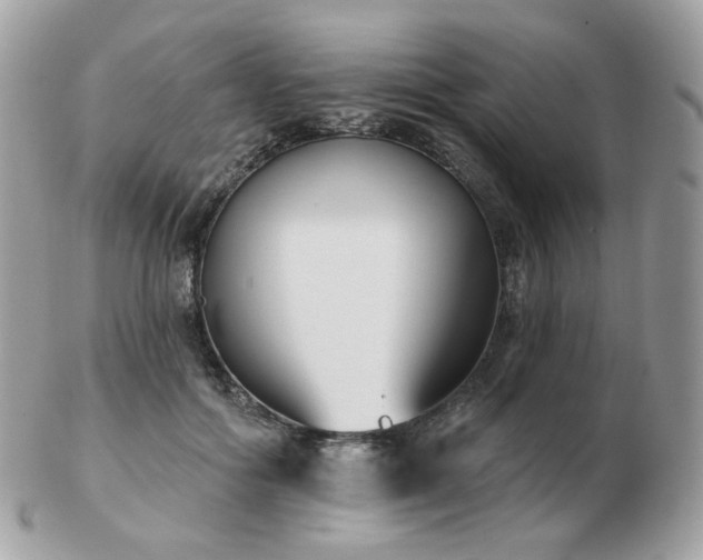 X0000103280602200808291313