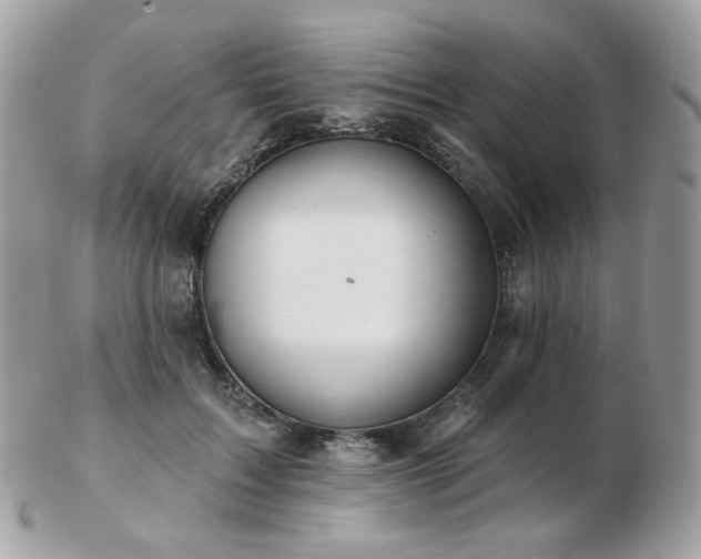 X0000103280603200808291313