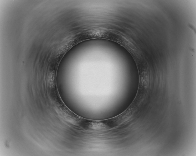 X0000103280605200808291313