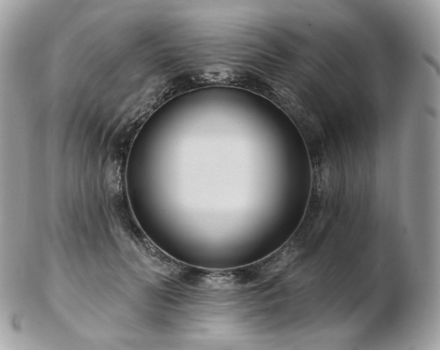 X0000103280606200808291313