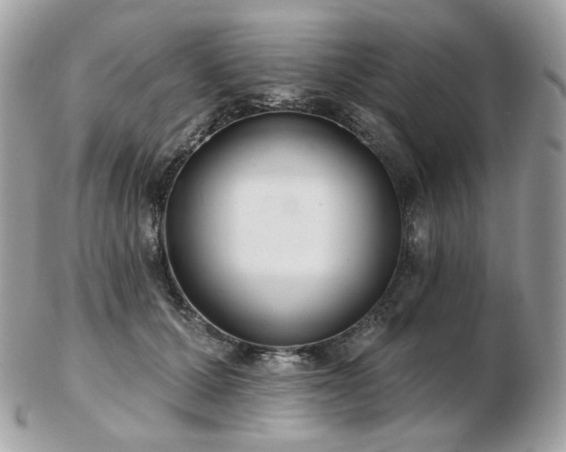 X0000103280607200808291313