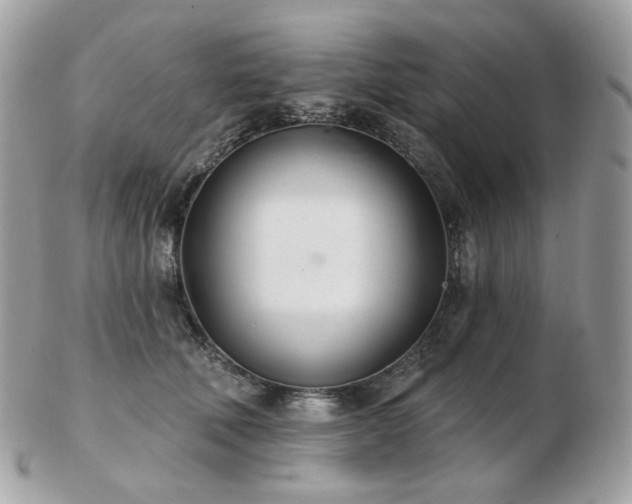 X0000103280610200808291313