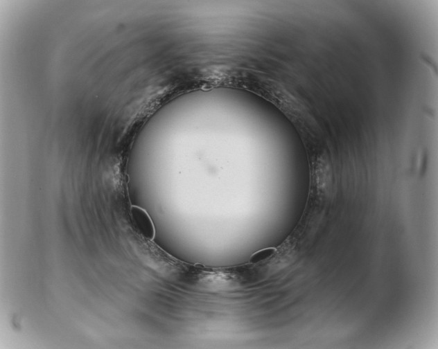 X0000103280611200808291313