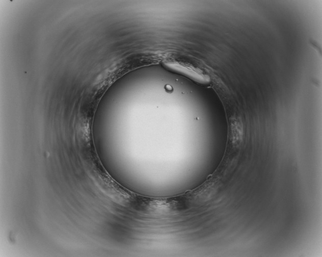 X0000103280613200808291313