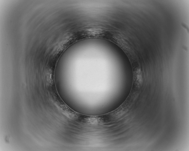 X0000103280615200808291313