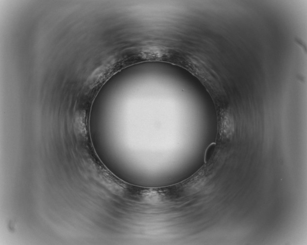 X0000103280616200808291313