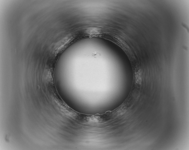 X0000103280618200808291313