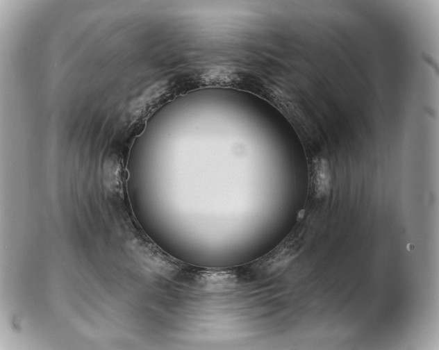 X0000103280619200808291313