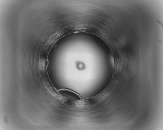 X0000103280623200808291313