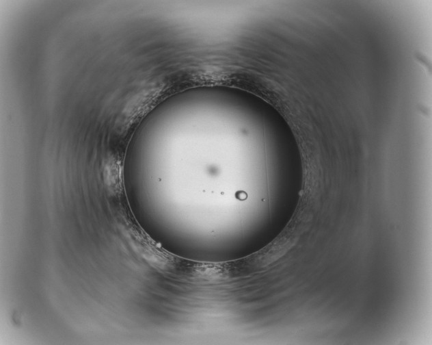 X0000103280624200808291313