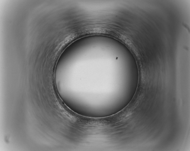 X0000103280625200808291312