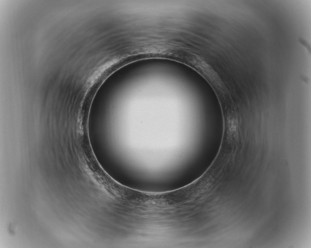 X0000103280628200808291312