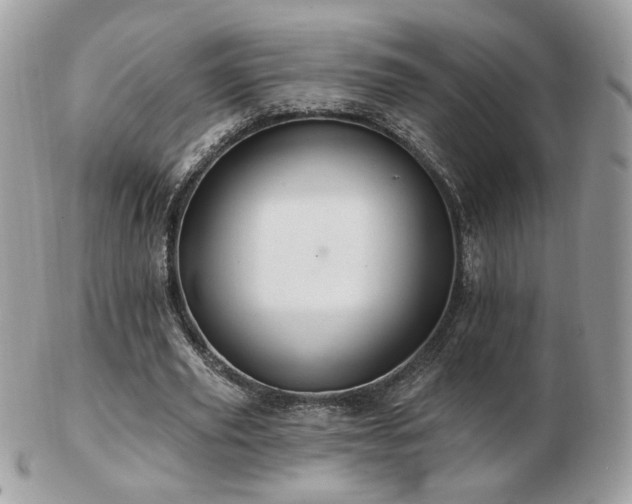 X0000103280629200808291312