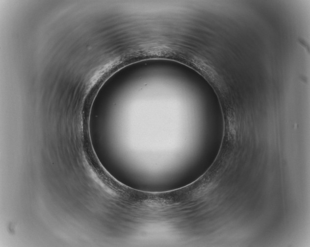 X0000103280630200808291312