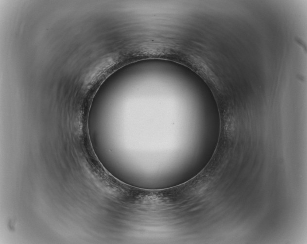 X0000103280635200808291312