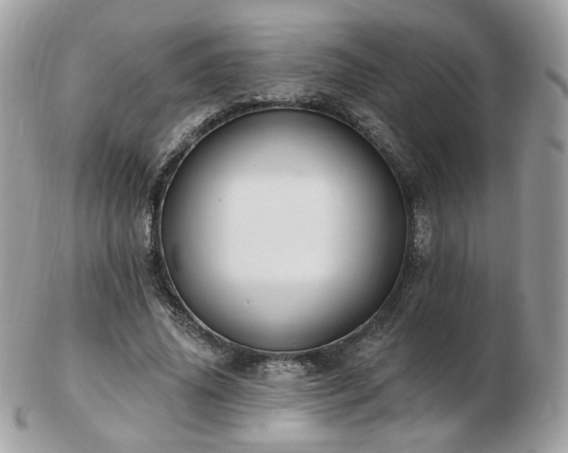 X0000103280636200808291312