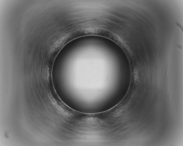 X0000103280637200808291312