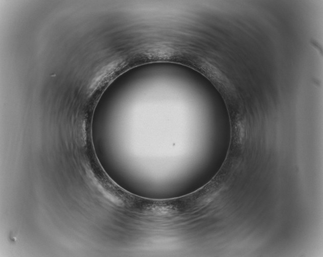 X0000103280638200808291312