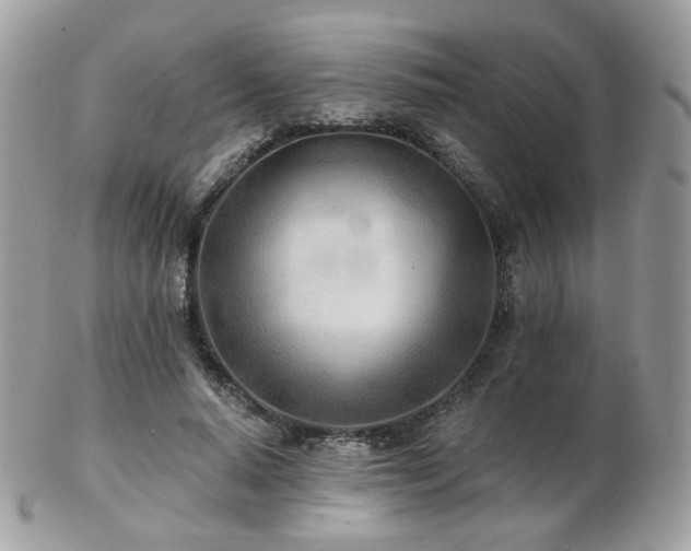 X0000103280640200808291312