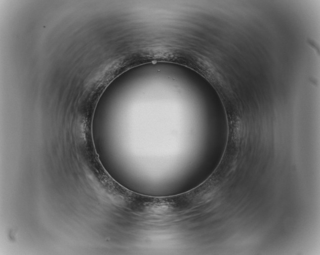 X0000103280643200808291312