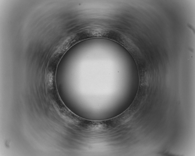 X0000103280646200808291312