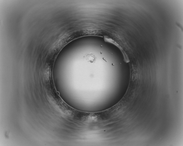 X0000103280647200808291312