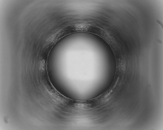 X0000103280649200808291312