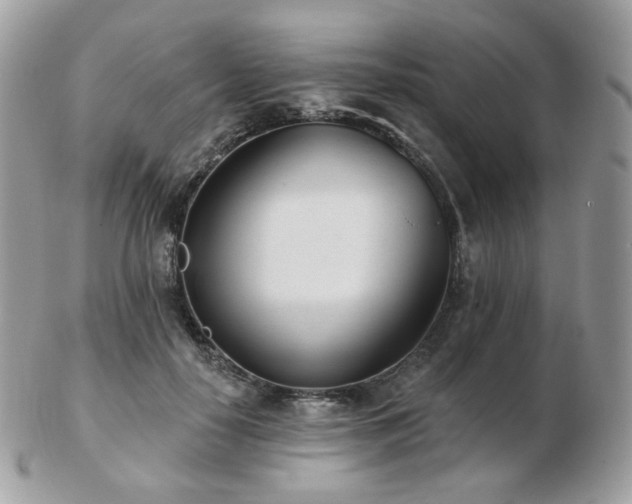 X0000103280650200808291312